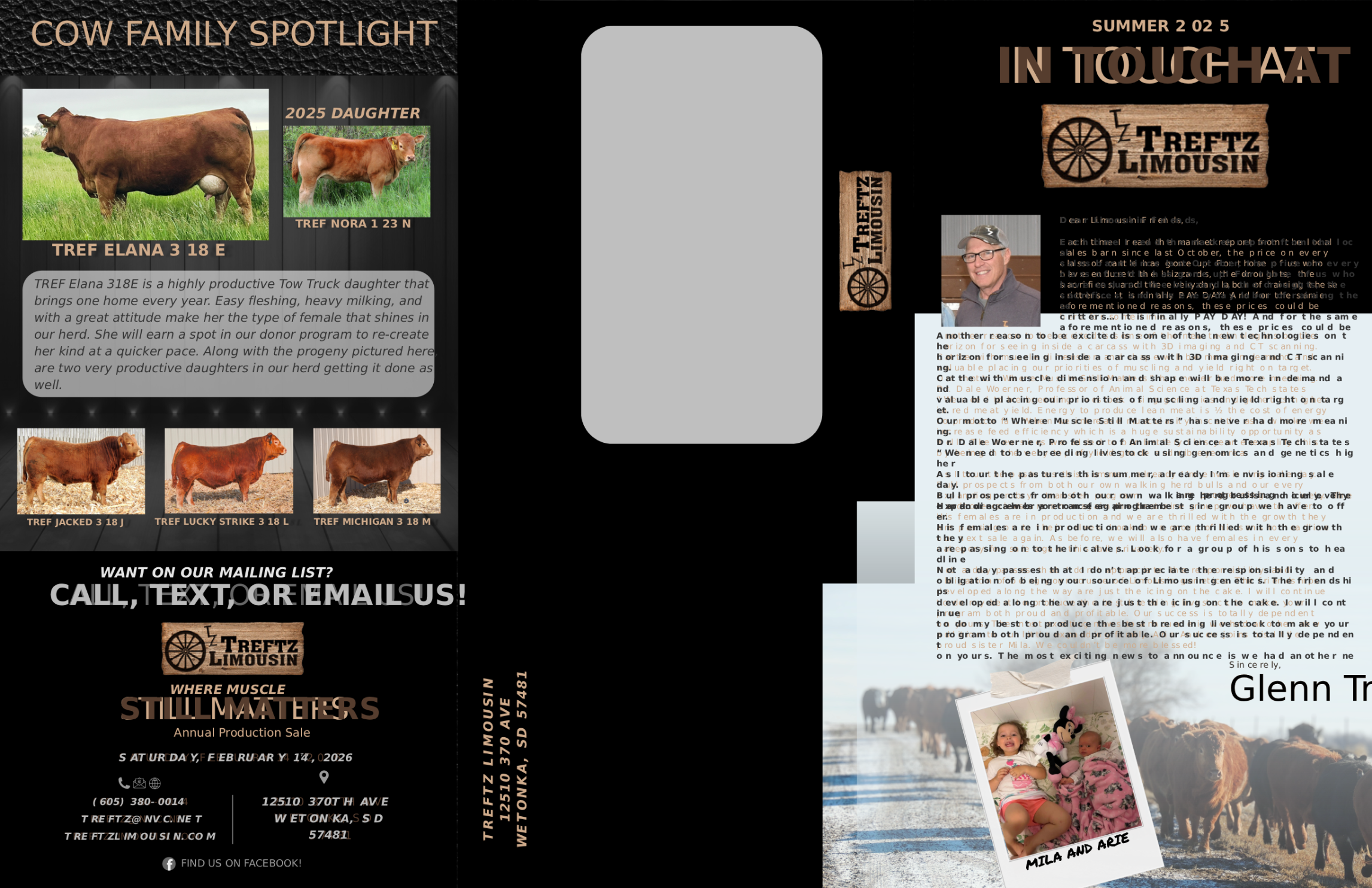 what is new at treft